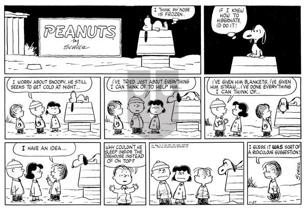 Peanuts on Sunday January 27, 1963 Comic Strip