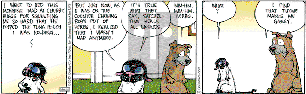 Get Fuzzy on Friday February 15, 2013 Comic Strip