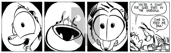 Buckles on Tuesday March 11, 2025 Comic Strip