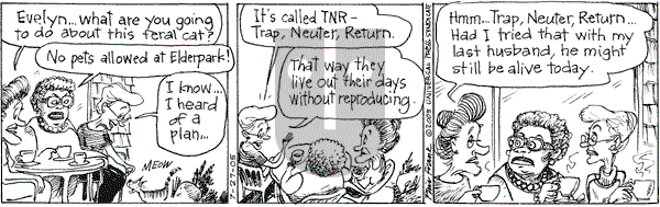 The Elderberries - Wednesday July 27, 2005 Comic Strip