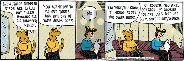 Overboard on Tuesday July 28, 2020 Comic Strip