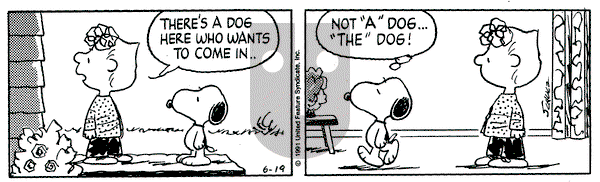 Peanuts on Wednesday June 19, 1991 Comic Strip