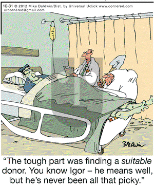 Cornered on Wednesday October 31, 2012 Comic Strip
