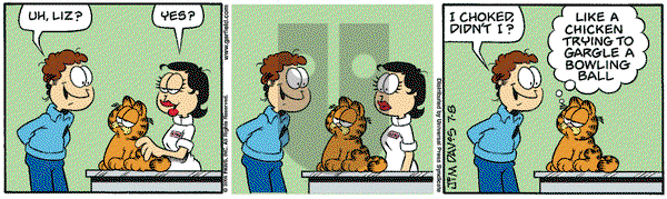 Garfield on Saturday July 8, 2006 Comic Strip