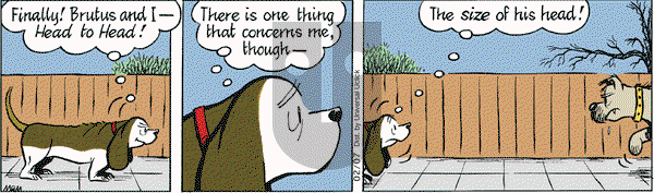 Fred Basset on Monday February 7, 2011 Comic Strip