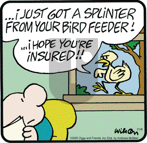 Ziggy on Friday November 6, 2020 Comic Strip