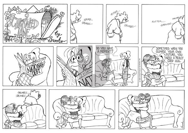 9 Chickweed Lane on Sunday July 18, 1993 Comic Strip