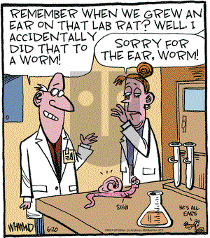 Reality Check - Thursday June 20, 2024 Comic Strip