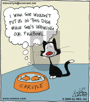 Kit 'N' Carlyle on Friday January 23, 2009 Comic Strip