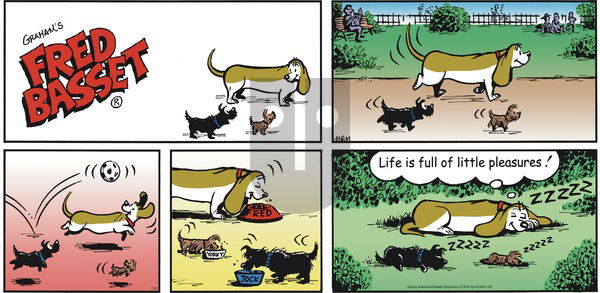 Fred Basset on Sunday July 22, 2018 Comic Strip