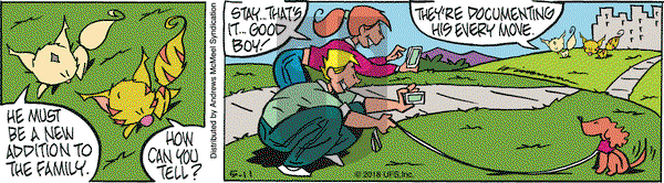 Rose is Rose on Friday May 11, 2018 Comic Strip