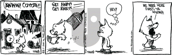 Prickly City on Thursday August 11, 2005 Comic Strip