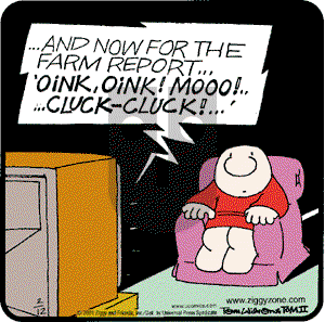 Ziggy - Monday February 12, 2001 Comic Strip