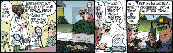 Monty on Saturday March 10, 2018 Comic Strip