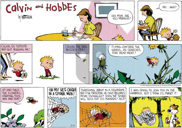 Calvin and Hobbes - Sunday September 19, 2021 Comic Strip