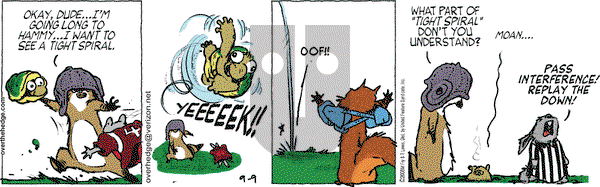 Over the Hedge on Tuesday September 9, 2008 Comic Strip
