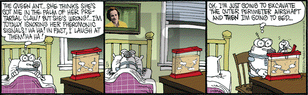 Monty on Tuesday November 13, 2012 Comic Strip