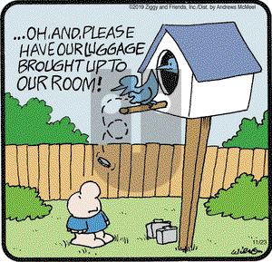 Ziggy on Saturday November 23, 2019 Comic Strip