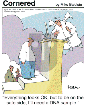 Cornered on Saturday December 7, 2013 Comic Strip