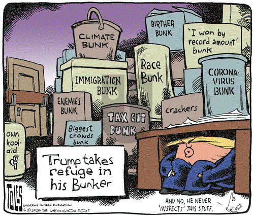 Tom Toles on Friday June 5, 2020 Comic Strip