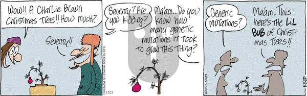 The Knight Life on Wednesday December 23, 2015 Comic Strip