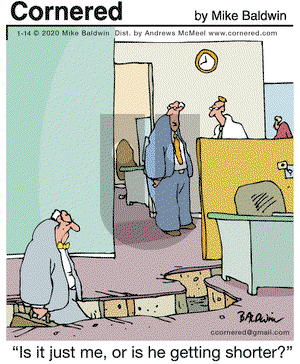 Cornered - Tuesday January 14, 2020 Comic Strip