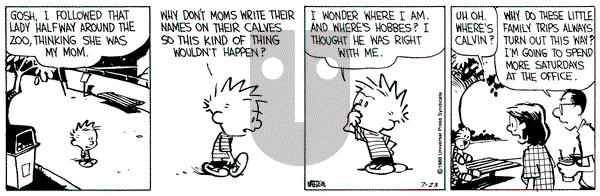 Calvin and Hobbes on Saturday July 23, 1988 Comic Strip