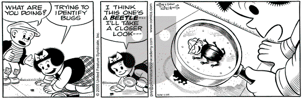 Nancy on Friday November 11, 2005 Comic Strip