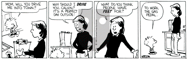 Calvin and Hobbes on Wednesday June 26, 1991 Comic Strip