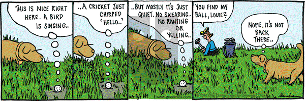 Overboard on Friday October 7, 2016 Comic Strip