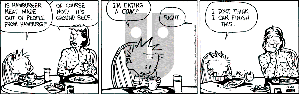Calvin and Hobbes - Friday October 22, 1993 Comic Strip