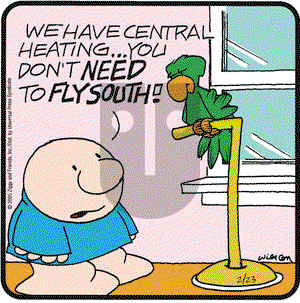 Ziggy on Tuesday July 12, 2005 Comic Strip