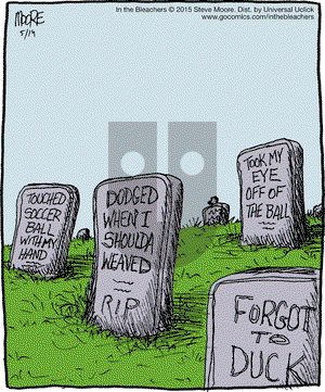 In the Bleachers on Thursday May 14, 2015 Comic Strip