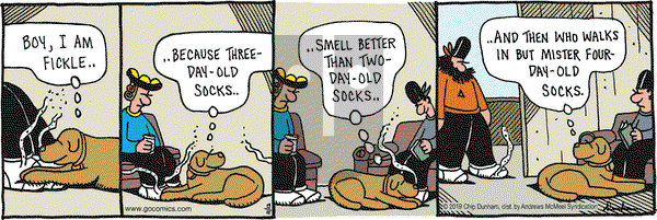 Overboard on Tuesday November 12, 2019 Comic Strip