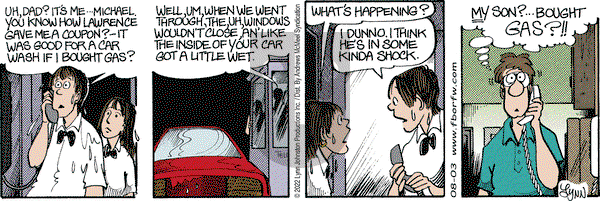 For Better or For Worse - Wednesday August 3, 2022 Comic Strip
