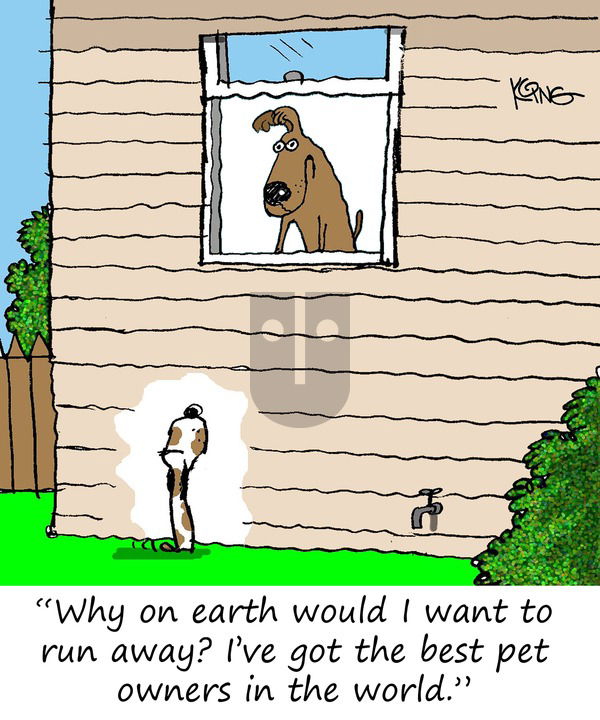 Jerry King Comics on Sunday April 20, 2025 Comic Strip