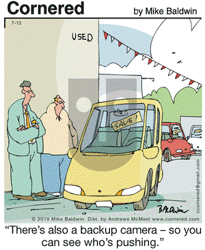 Cornered on Saturday July 13, 2019 Comic Strip