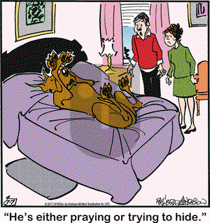 Marmaduke on Friday July 7, 2017 Comic Strip