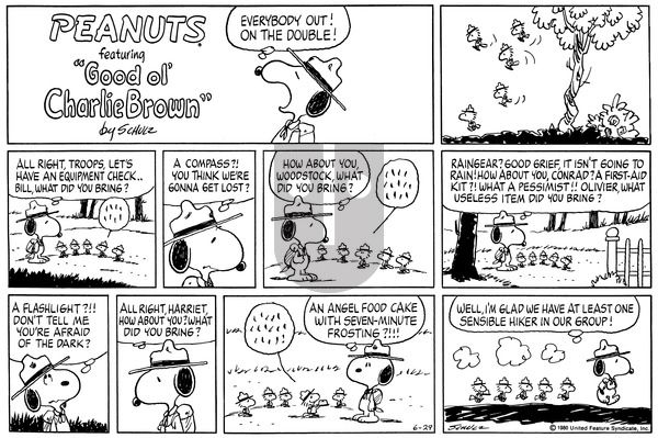 Peanuts on Sunday June 29, 1980 Comic Strip