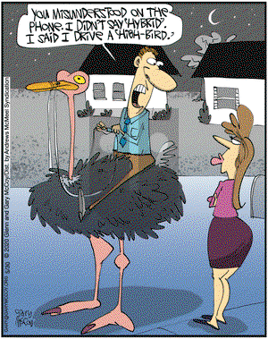 The Flying McCoys on Saturday May 30, 2020 Comic Strip