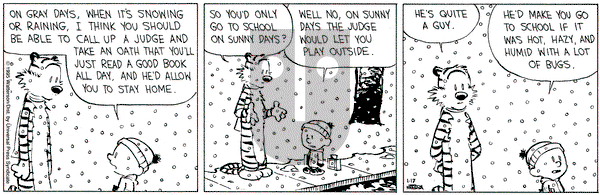 Calvin and Hobbes on Tuesday January 17, 1995 Comic Strip