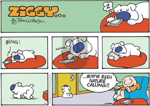 Ziggy on Sunday June 14, 2020 Comic Strip