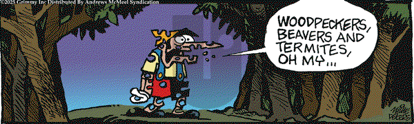 Mother Goose and Grimm on Saturday June 7, 2025 Comic Strip