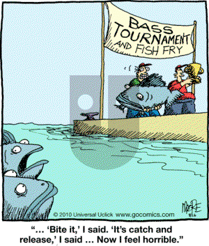 In the Bleachers - Thursday August 26, 2010 Comic Strip