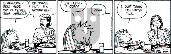 Calvin and Hobbes - Friday October 25, 2013 Comic Strip