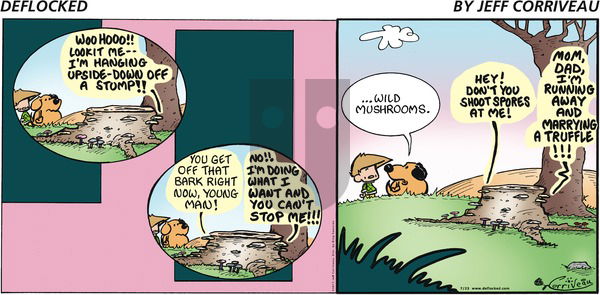 DeFlocked on Sunday July 23, 2017 Comic Strip