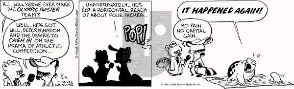 Over the Hedge on Tuesday July 23, 1996 Comic Strip