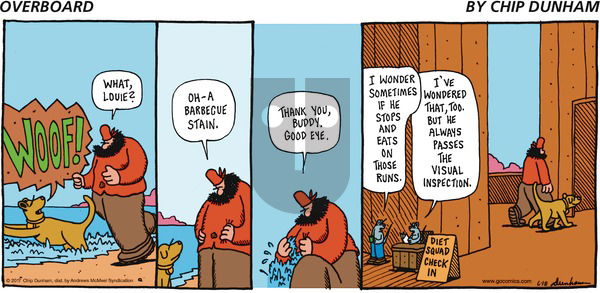 Overboard on Sunday June 18, 2017 Comic Strip