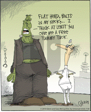 The Flying McCoys on Friday July 30, 2010 Comic Strip