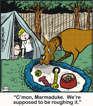 Marmaduke on Thursday August 13, 2020 Comic Strip